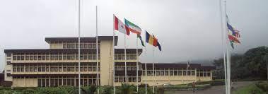 Panafrican Institute for Development