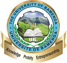 International University of Bamenda