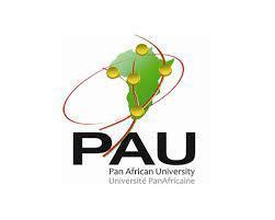 L Université Panafricaine