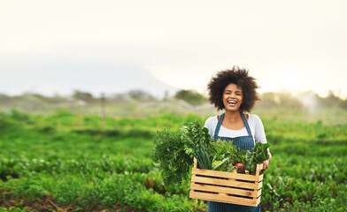 GESTION DES ENTREPRISES AGRICOLES